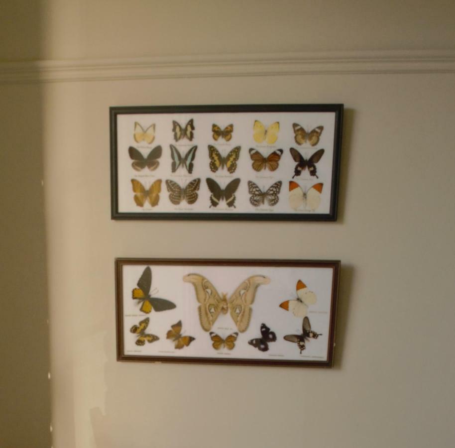 Sankence Lodge B&B Aylsham Zewnętrze zdjęcie